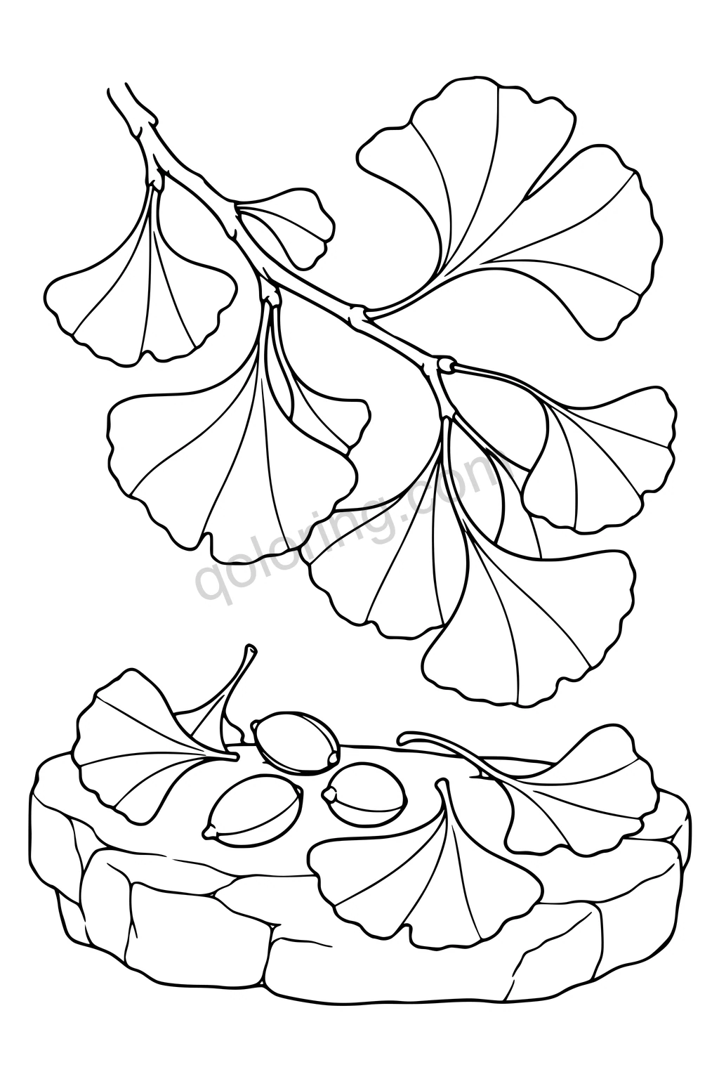 Black outline drawing of ginkgo fan leaves on a branch and stone ledge.