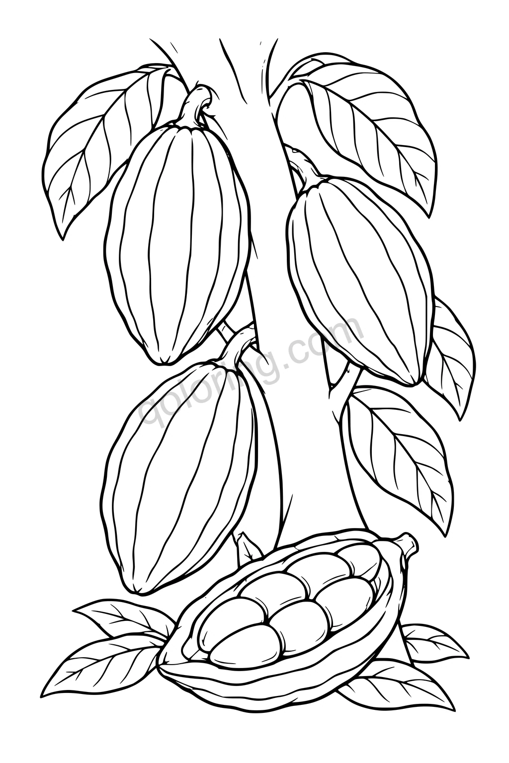 Black outline drawing of cacao pods on a leafy trunk and an opened pod below.