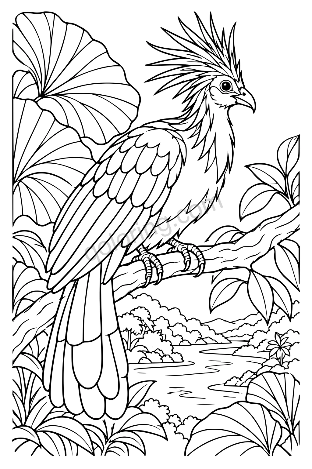 Black outline drawing of a hoatzin above a river bend.