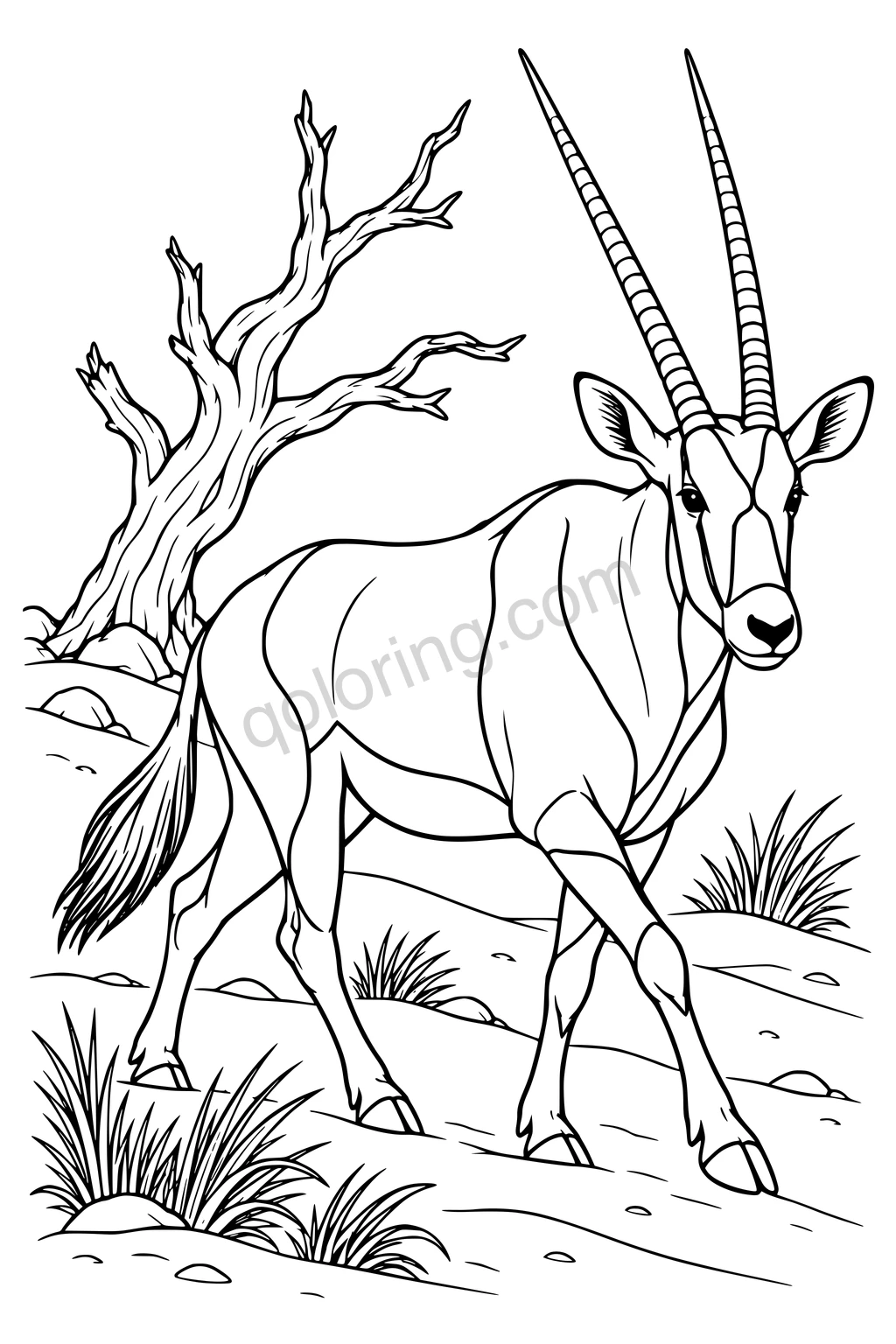 Black outline drawing of an oryx across the dunes.