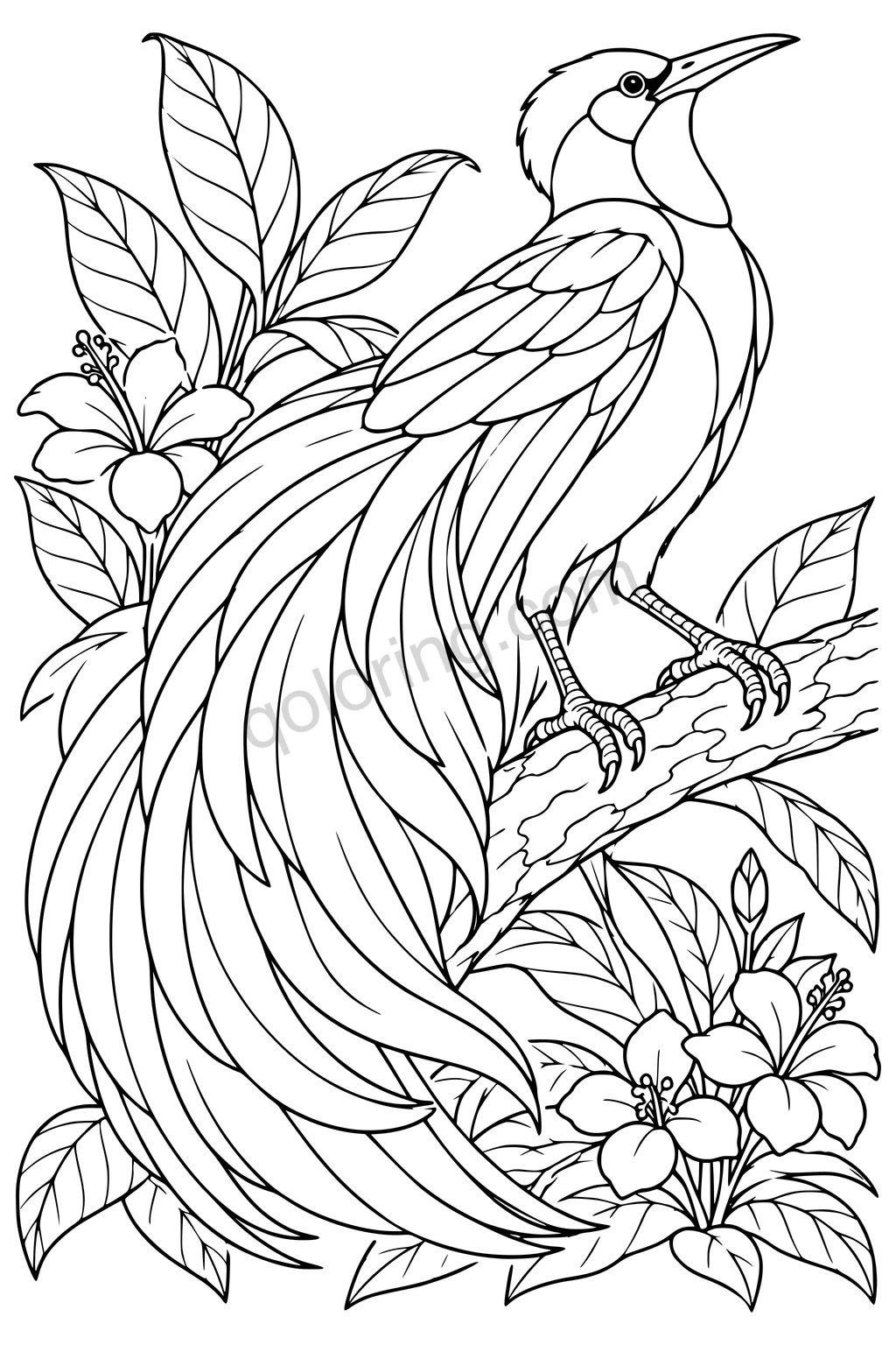 Black outline drawing of a bird-of-paradise on a display branch.