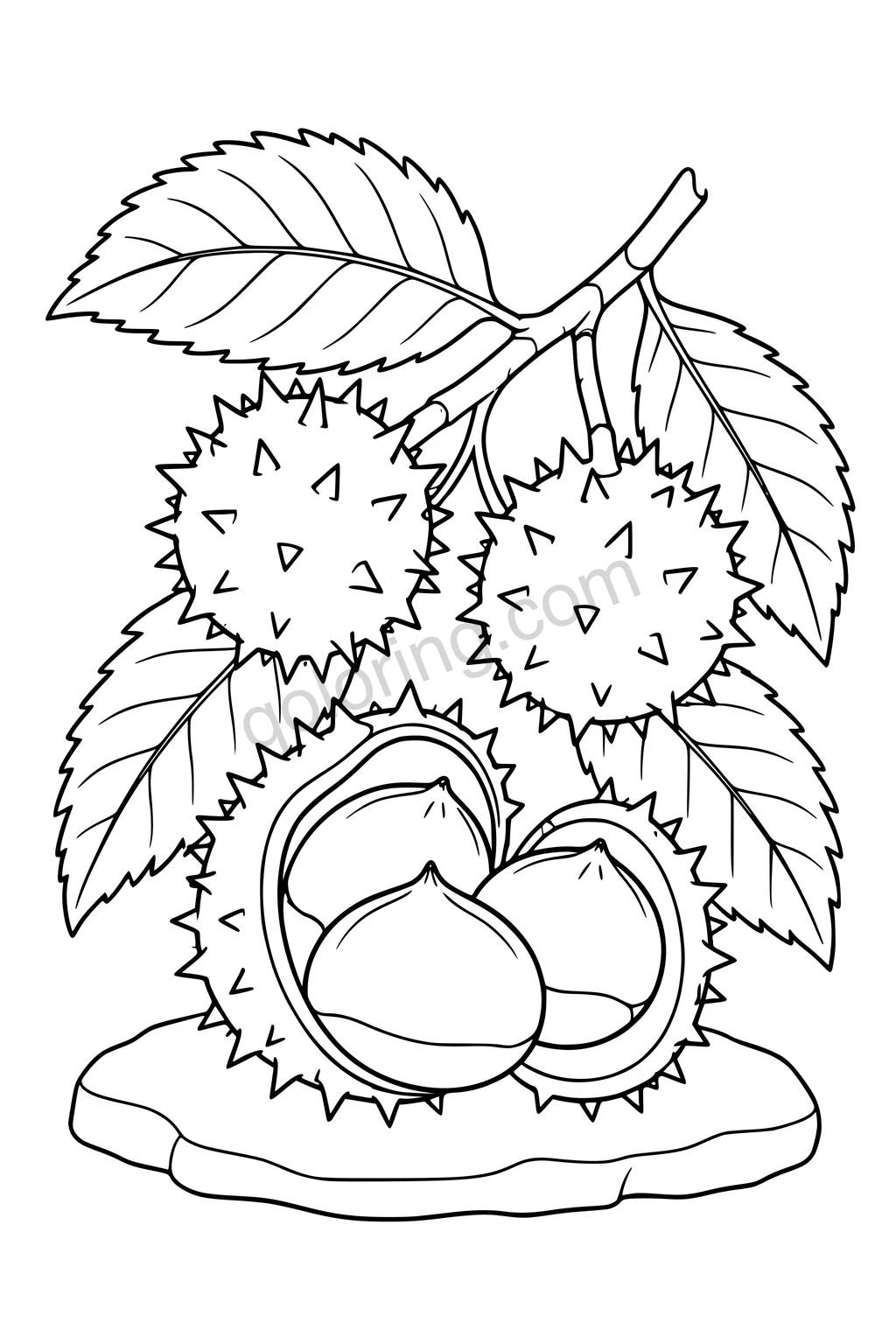 Black outline drawing of chestnut husks, serrated leaves and exposed chestnuts on a ledge.
