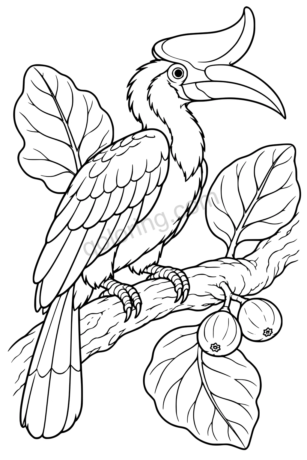 Black outline drawing of a hornbill in a wild fig tree.