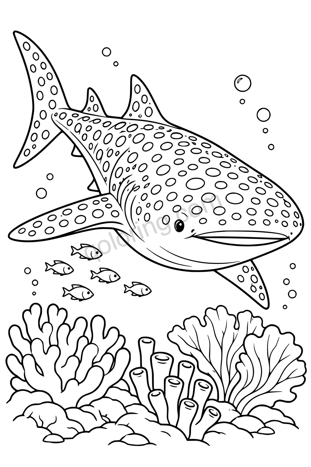 Black outline drawing of a whale shark above a coral terrace.