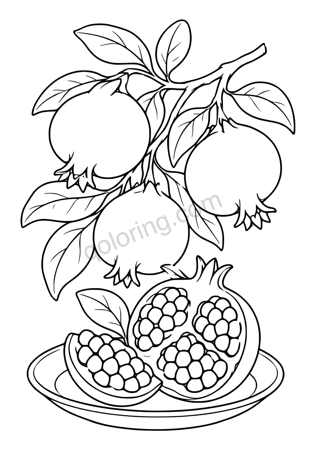 Black outline drawing of pomegranates on a leafy branch and opened fruit on a plate.
