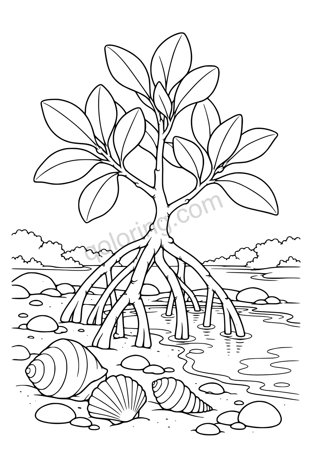 Black outline drawing of a mangrove on arching roots beside a tidal pool and shells.