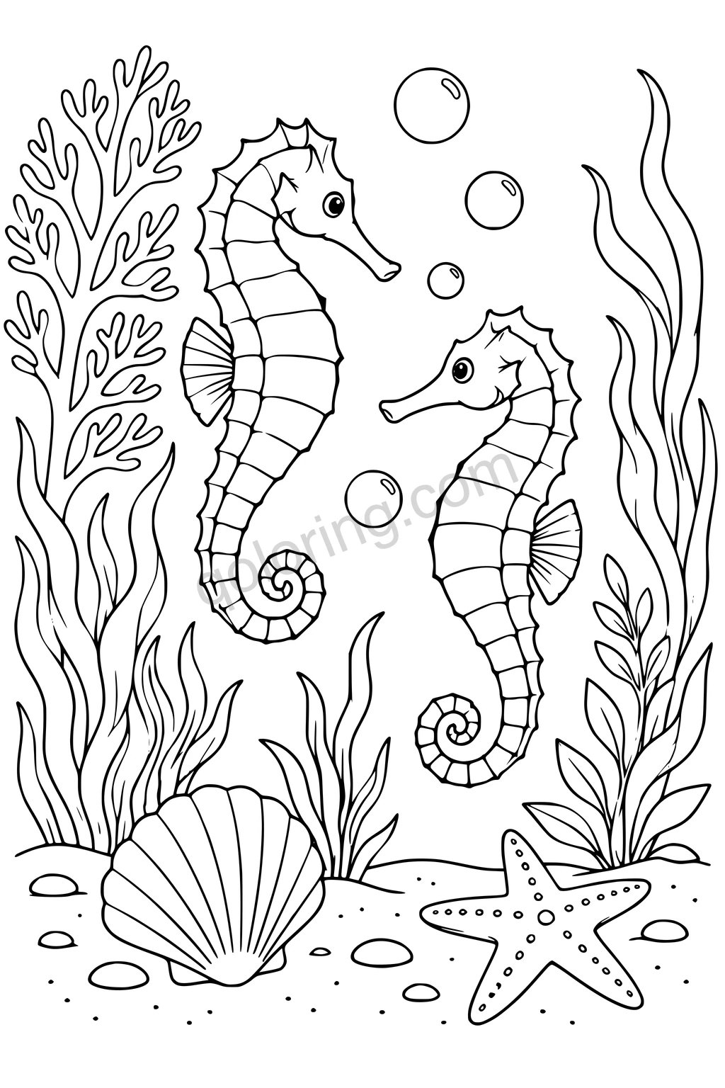 Black outline drawing of two seahorses among sea plants and bubbles above a large shell and a starfish.