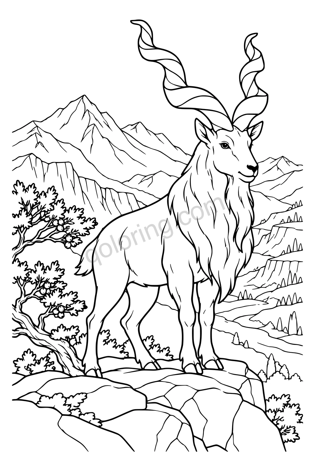 Black outline drawing of a markhor beside a juniper ledge.