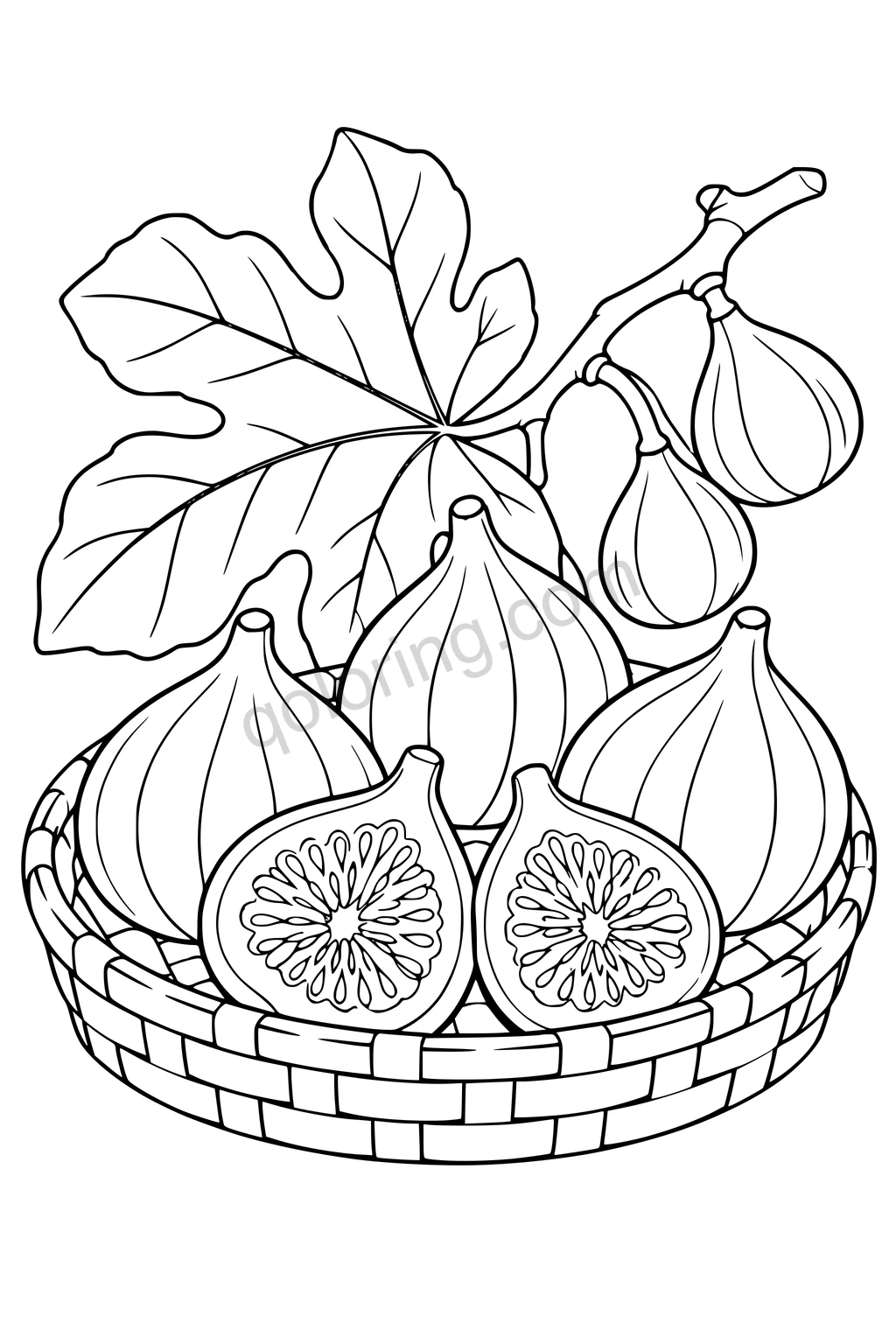 Black outline drawing of figs and fig halves in a woven tray beneath a leafy twig.