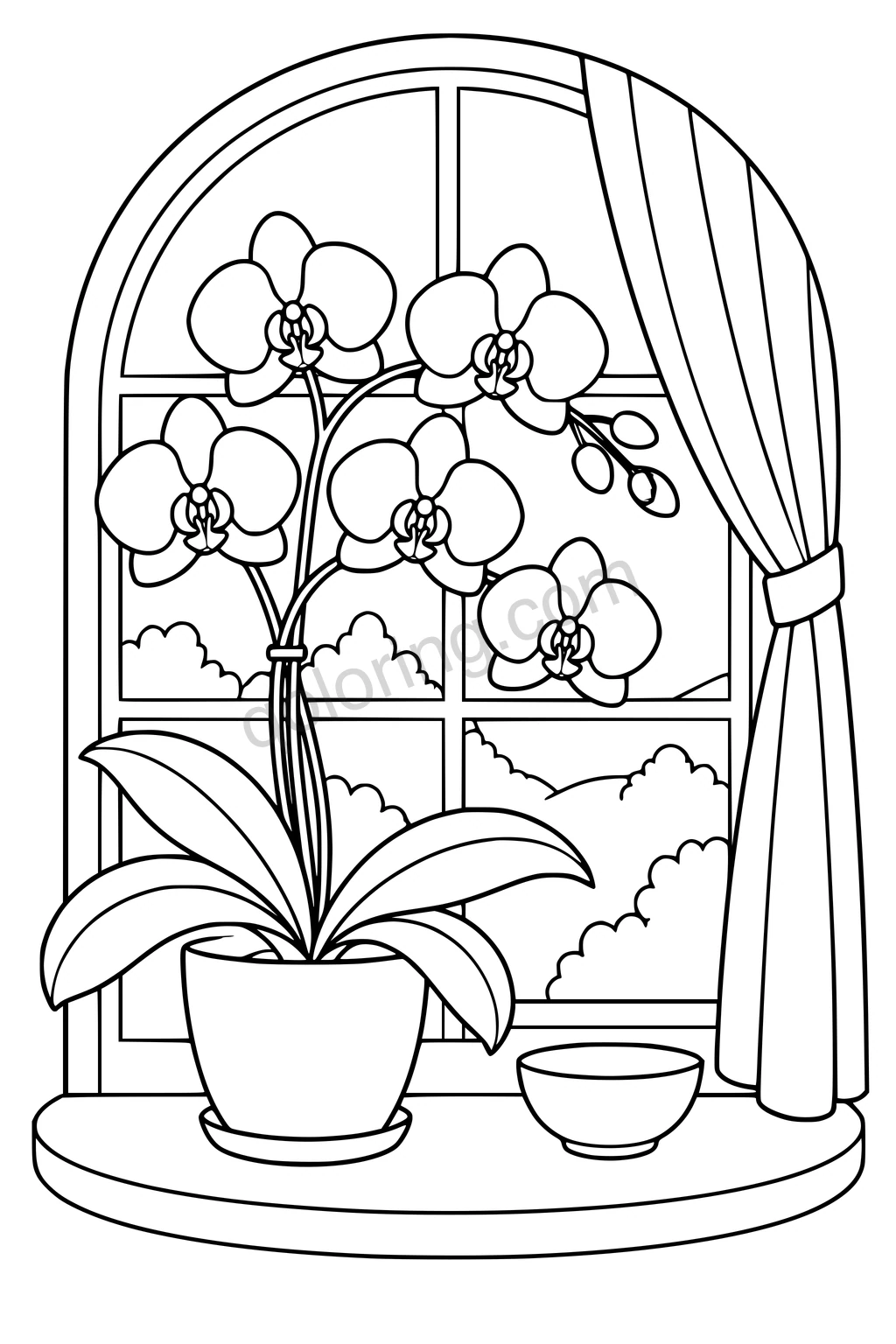 Black outline drawing of an orchid on a window ledge beside a bowl and tied curtain.