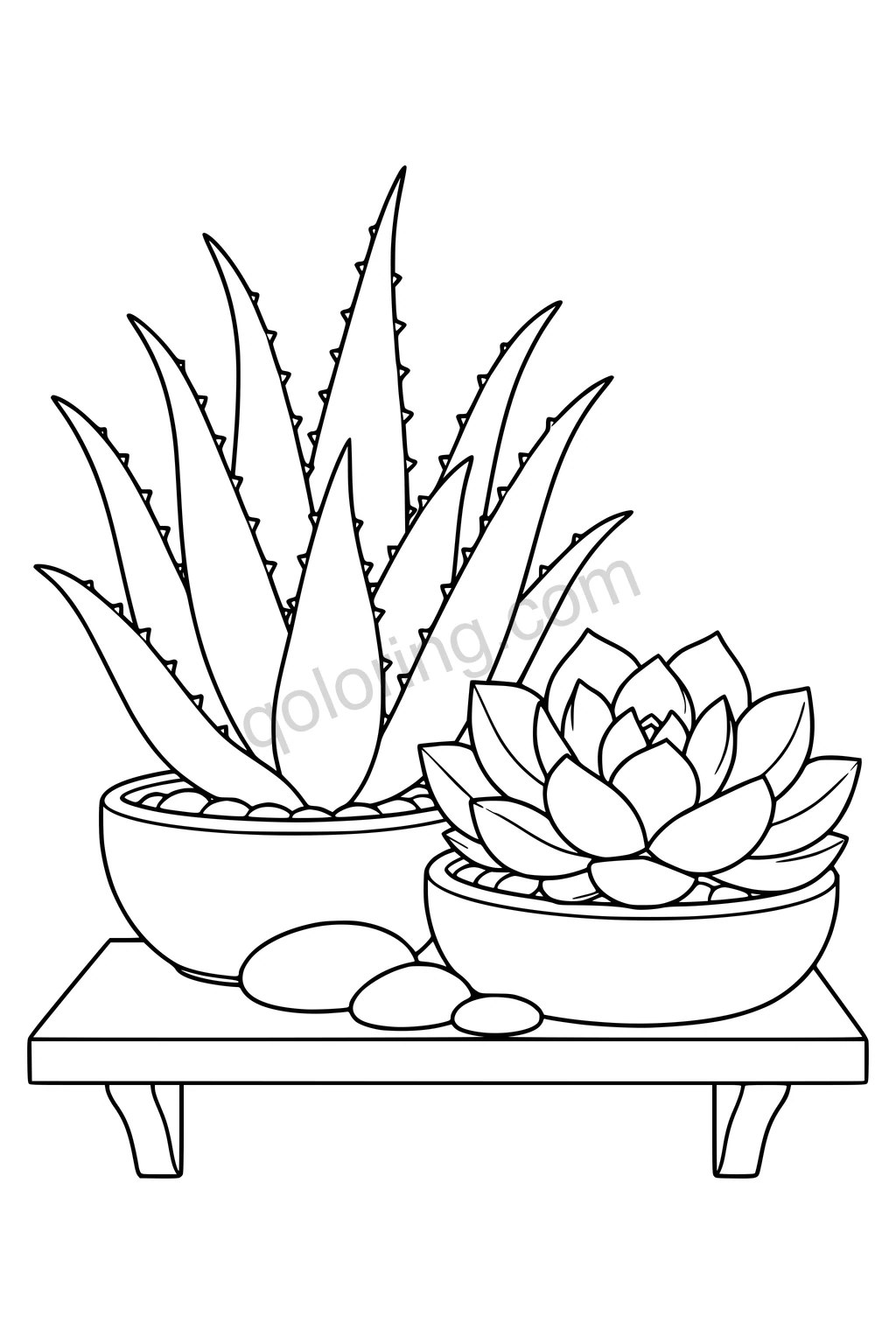 Black outline drawing of aloe and echeveria plants in two bowls on a shelf.