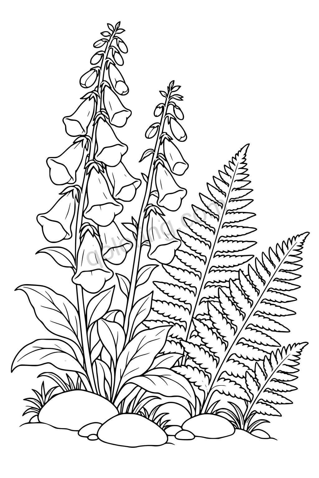 Black outline drawing of hanging foxglove blooms beside fern fronds and smooth stones.