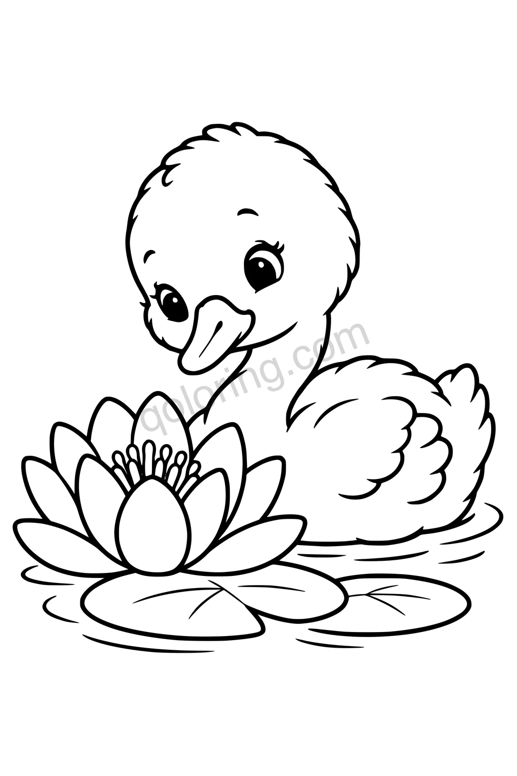 Black outline coloring page: Baby Swan and the Water Lily.