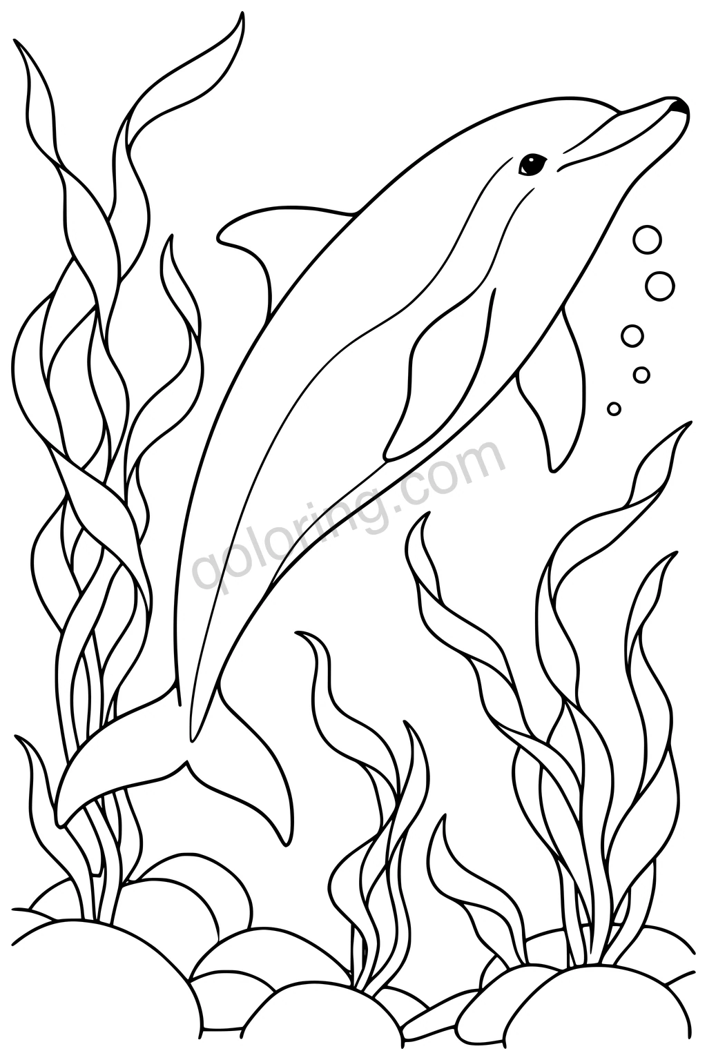 A dolphin glides diagonally upward between broad kelp fronds above rounded rocks, with bubbles nearby.