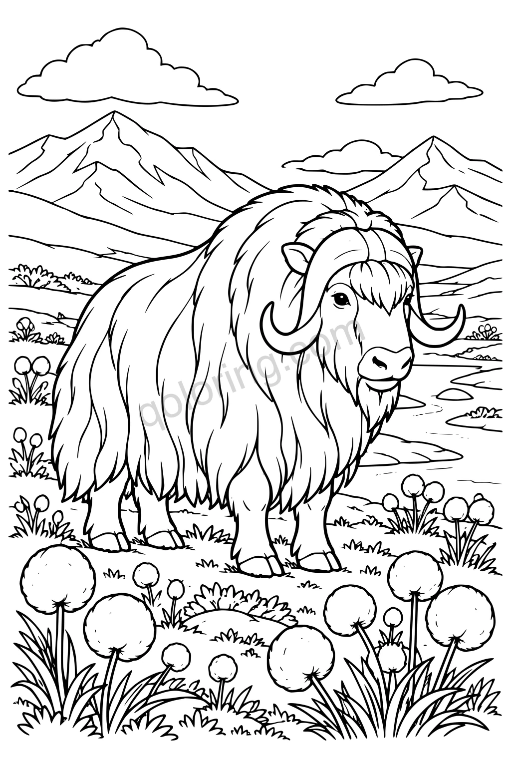 Black outline drawing of a musk ox in a cotton grass valley.