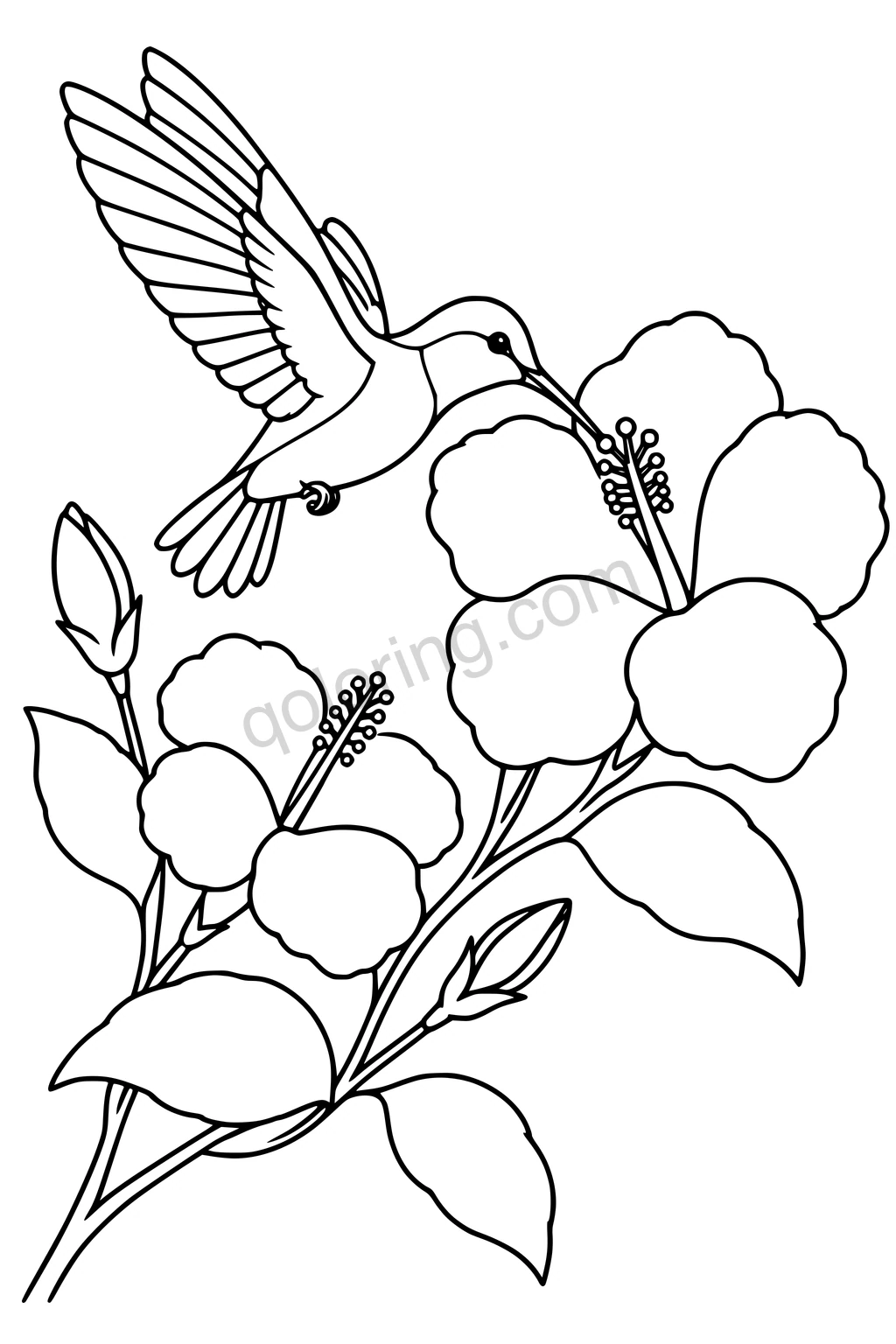 Black outline drawing of a hovering hummingbird beside two hibiscus blossoms, flower buds, and leafy branches.