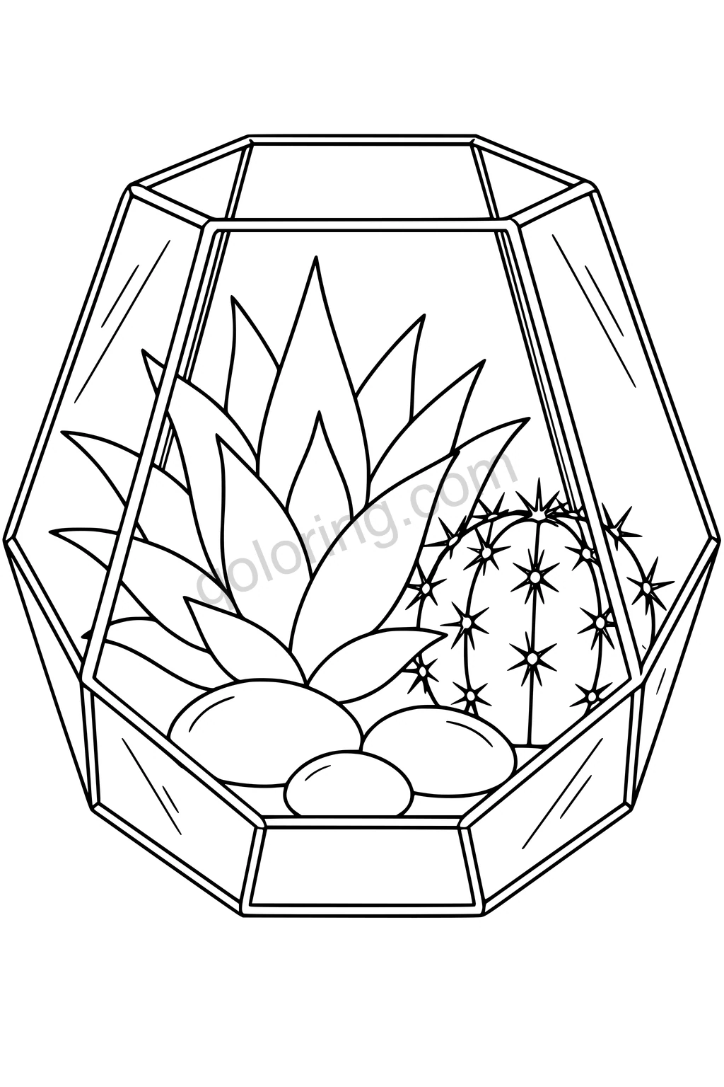 Black outline drawing of a geometric glass terrarium containing an agave, a round cactus, and three stones.