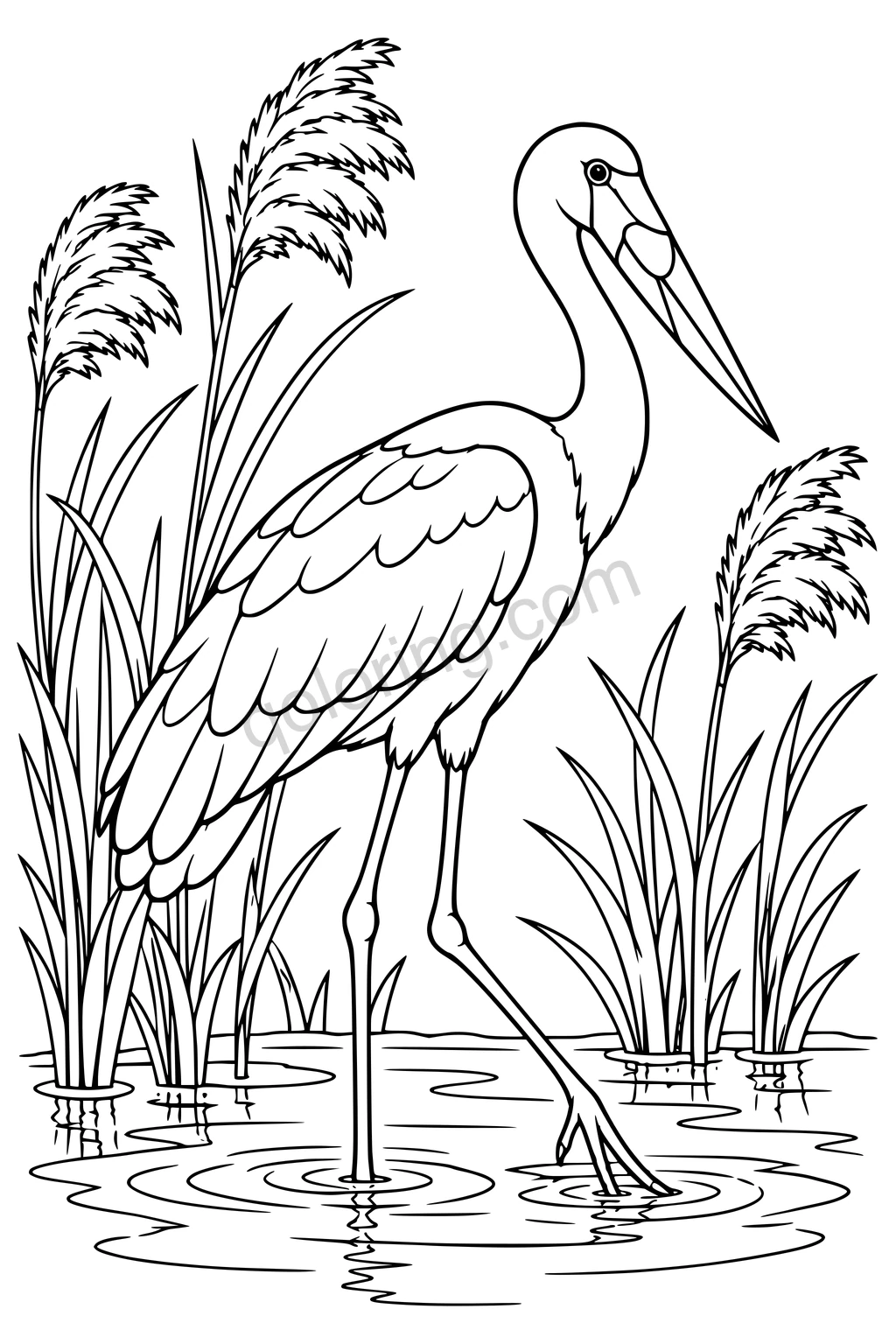 Black outline drawing of a saddle-billed stork in reed flats.