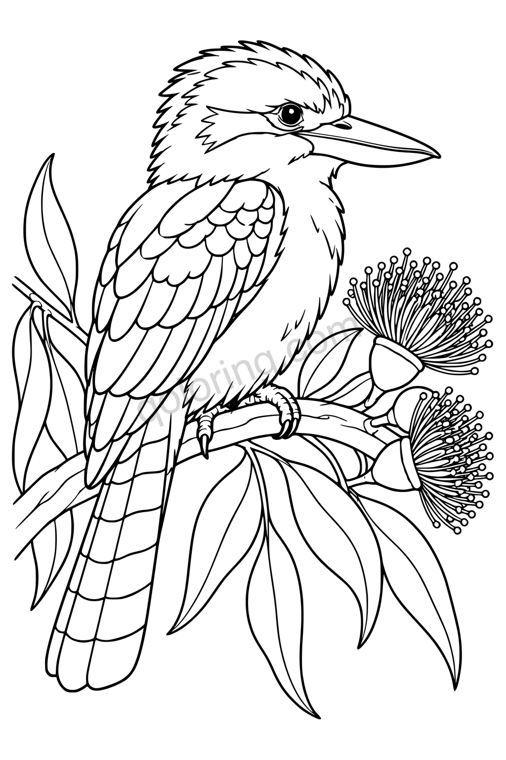Black outline drawing of a kookaburra beside gum blossoms.