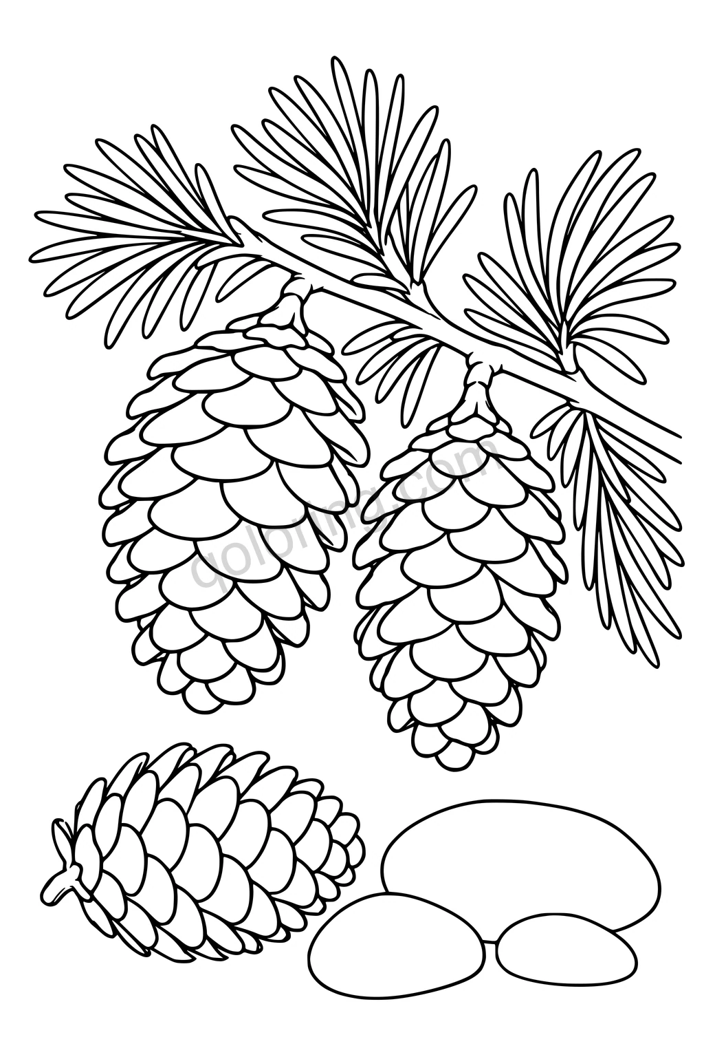 Black outline drawing of pine cones and evergreen needles above smooth stones.