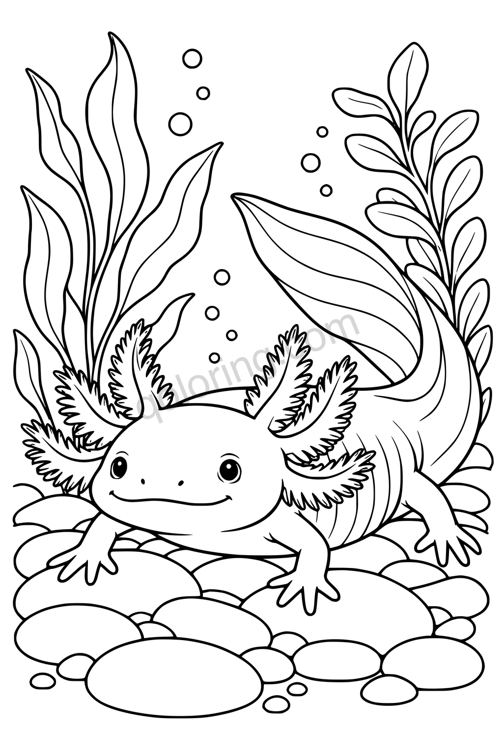 Black outline drawing of an axolotl in a freshwater garden.