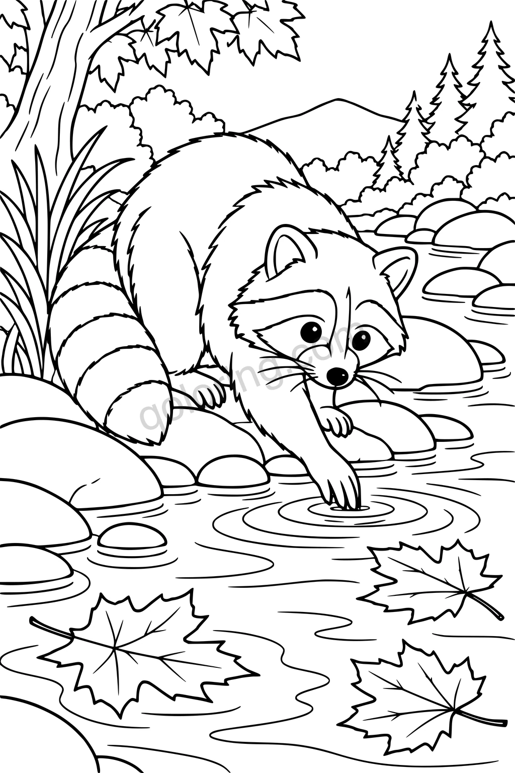 A raccoon reaches one paw into a woodland creek between rounded stones and floating maple leaves.