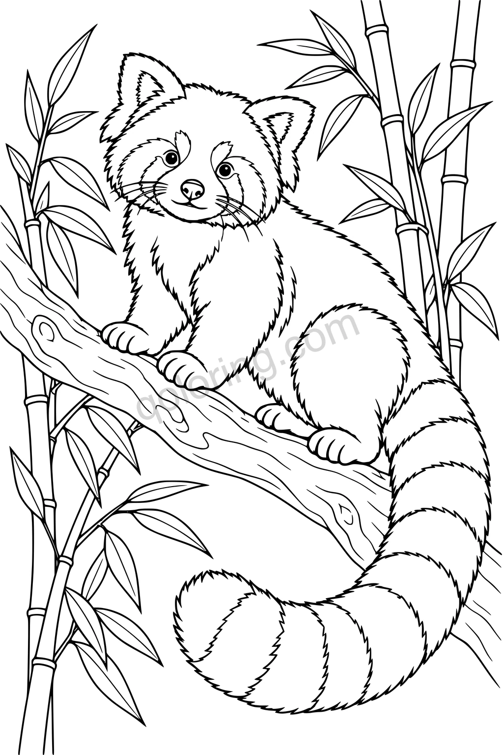 Black outline drawing of a red panda perched on a branch, with a long ringed tail and bamboo stems.