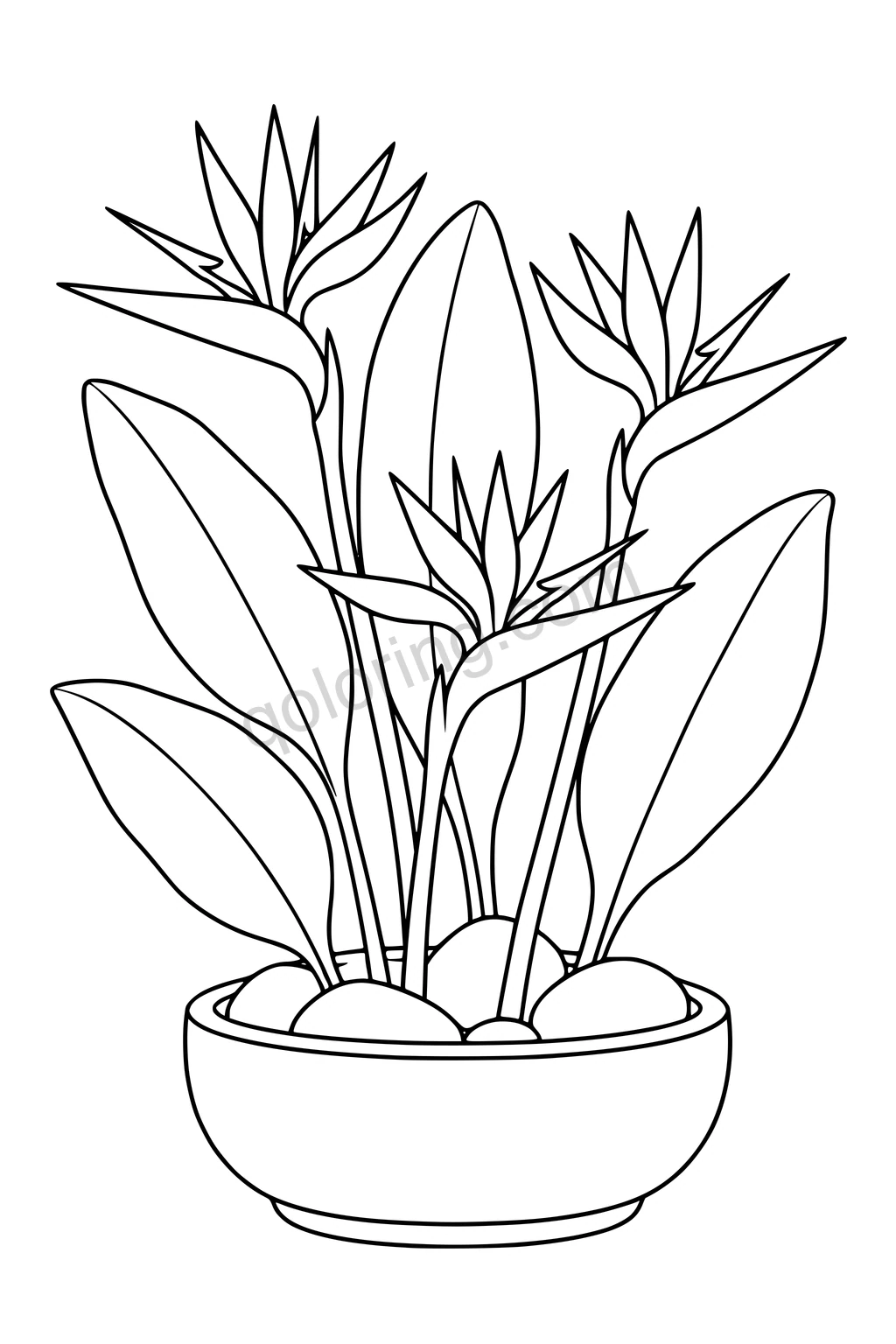 Black outline drawing of bird-of-paradise flowers and broad leaves in a low bowl.