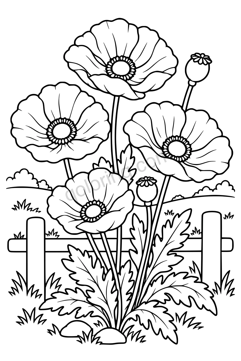 Black outline drawing of four poppies and seedpods beside a split-rail fence.