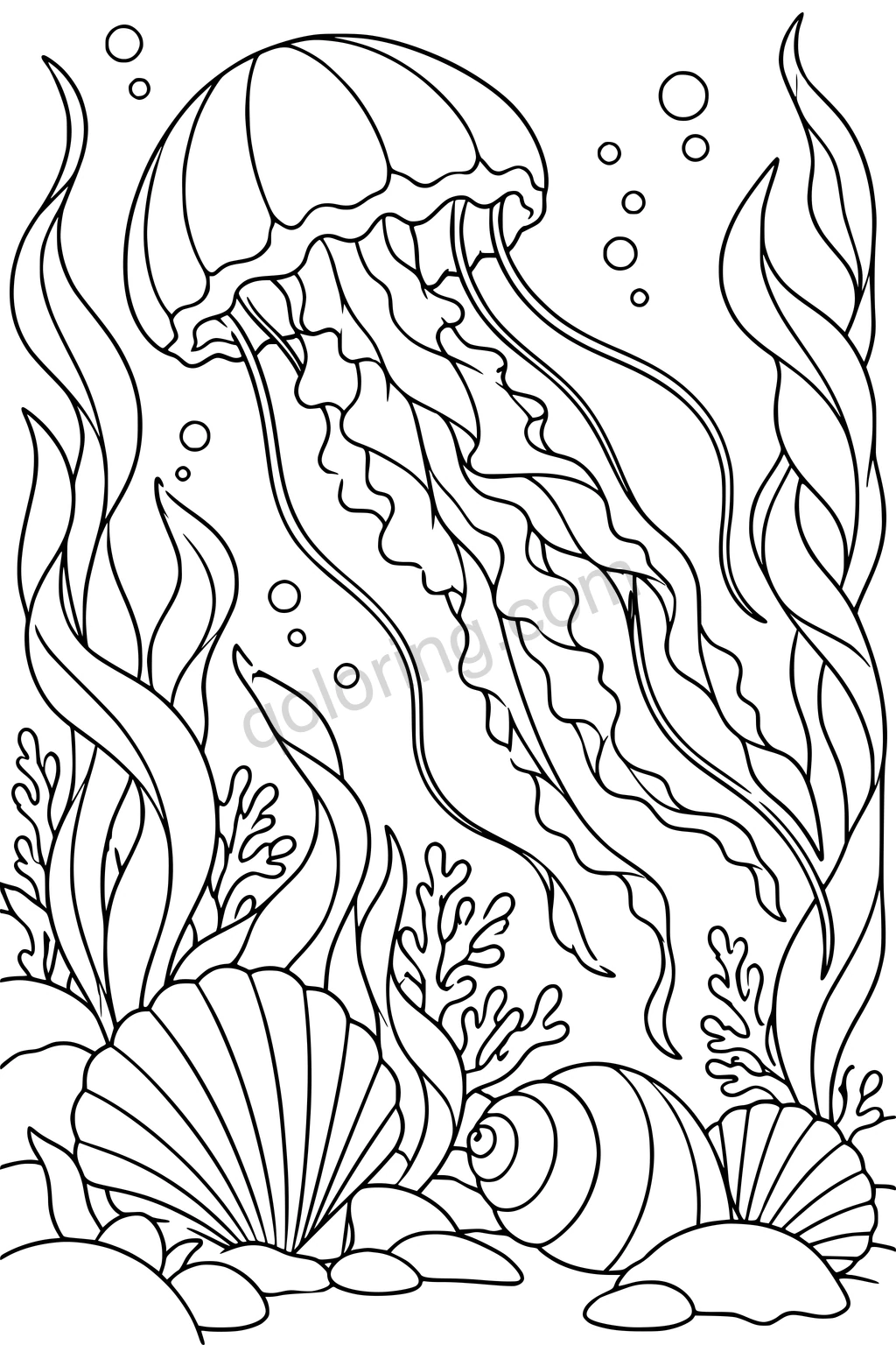 A jellyfish drifts above shells and seaweed, with a scalloped bell, flowing oral arms and long tentacles.