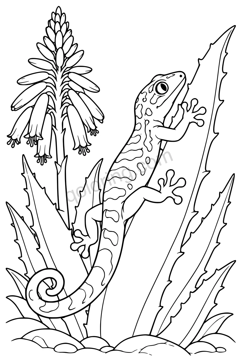 Black outline drawing of a gecko beside an aloe bloom.