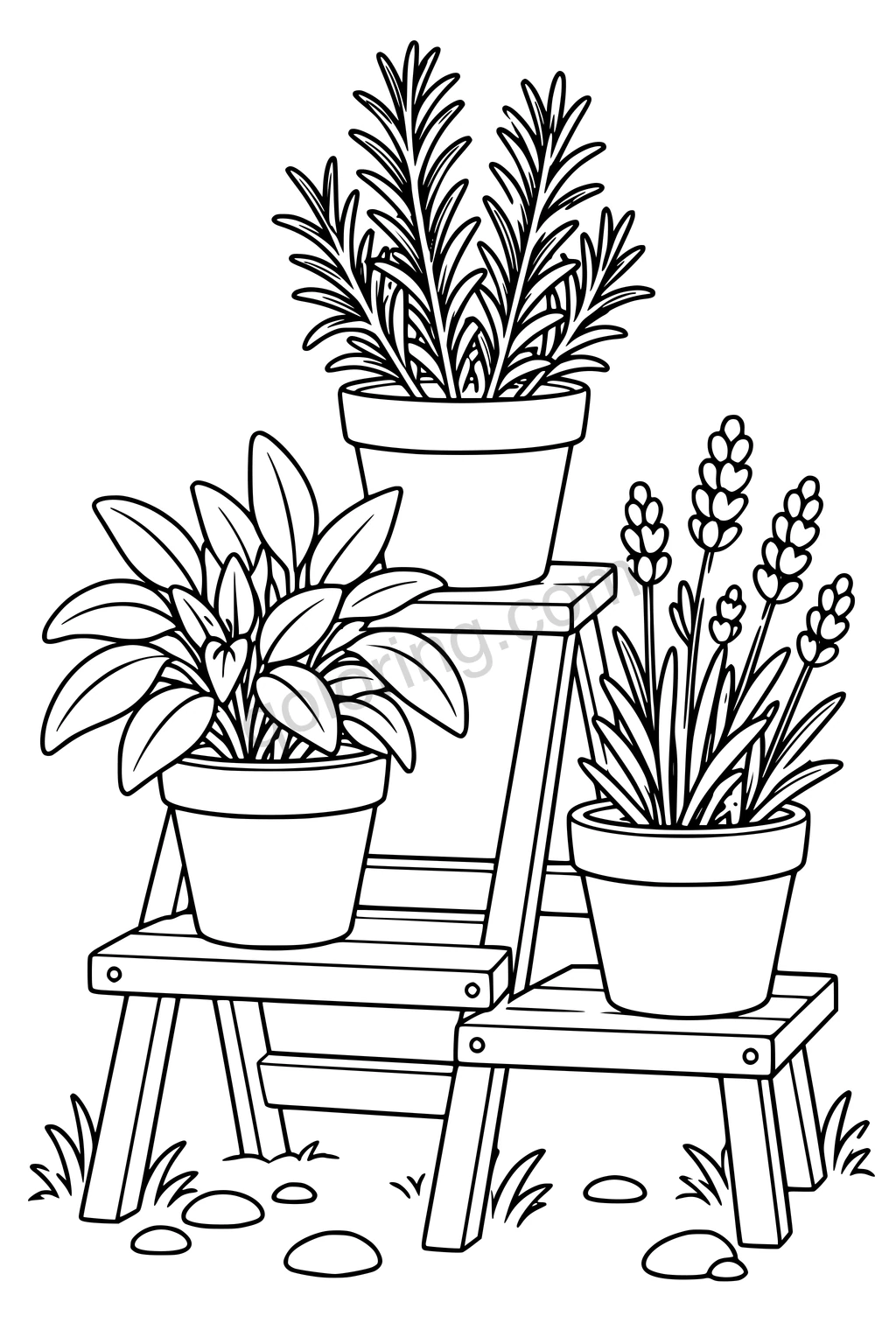 Black outline drawing of three herb pots with rosemary, sage, and lavender on a wooden plant stand.