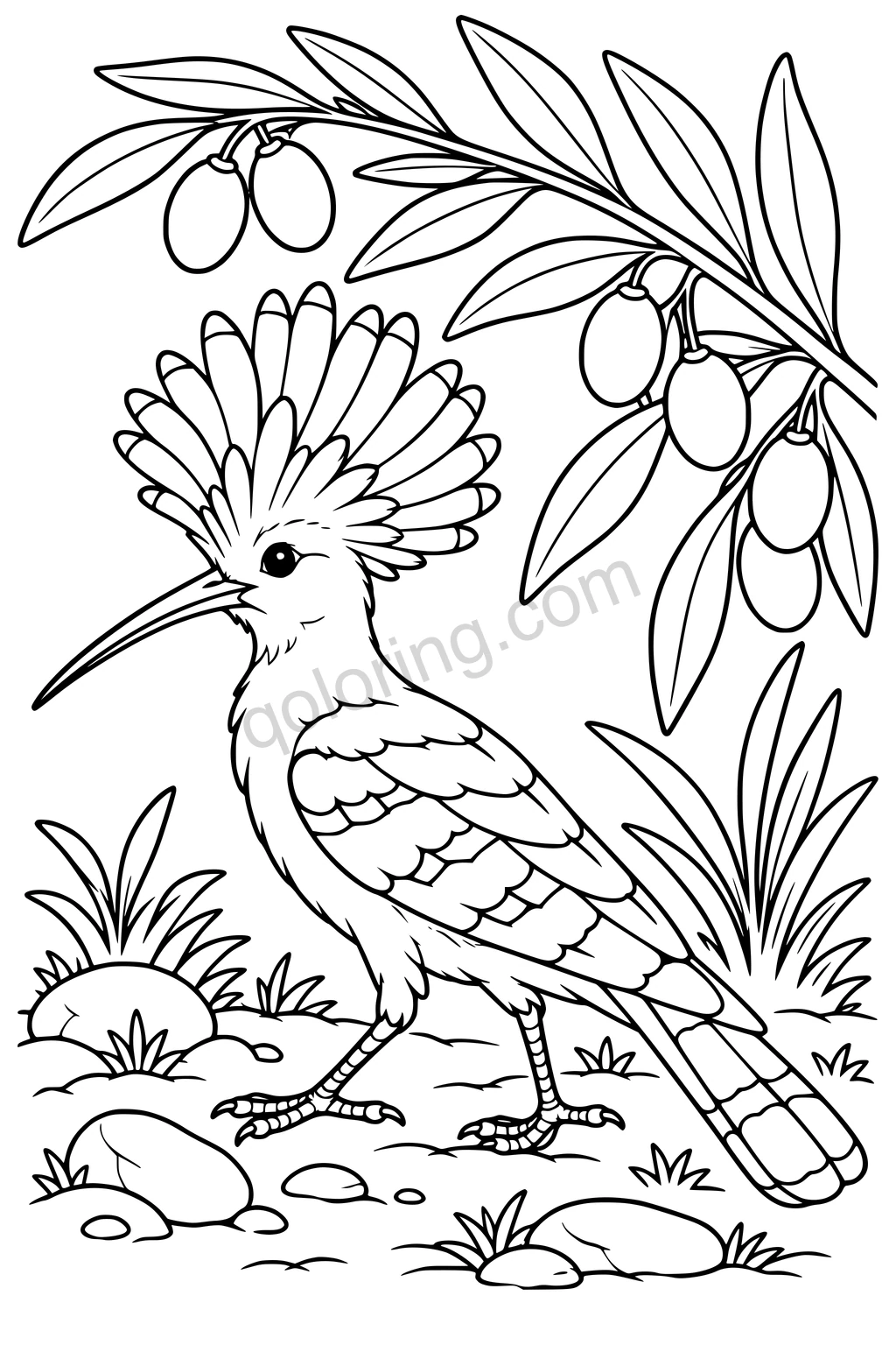 Black outline drawing of a hoopoe in an olive orchard.
