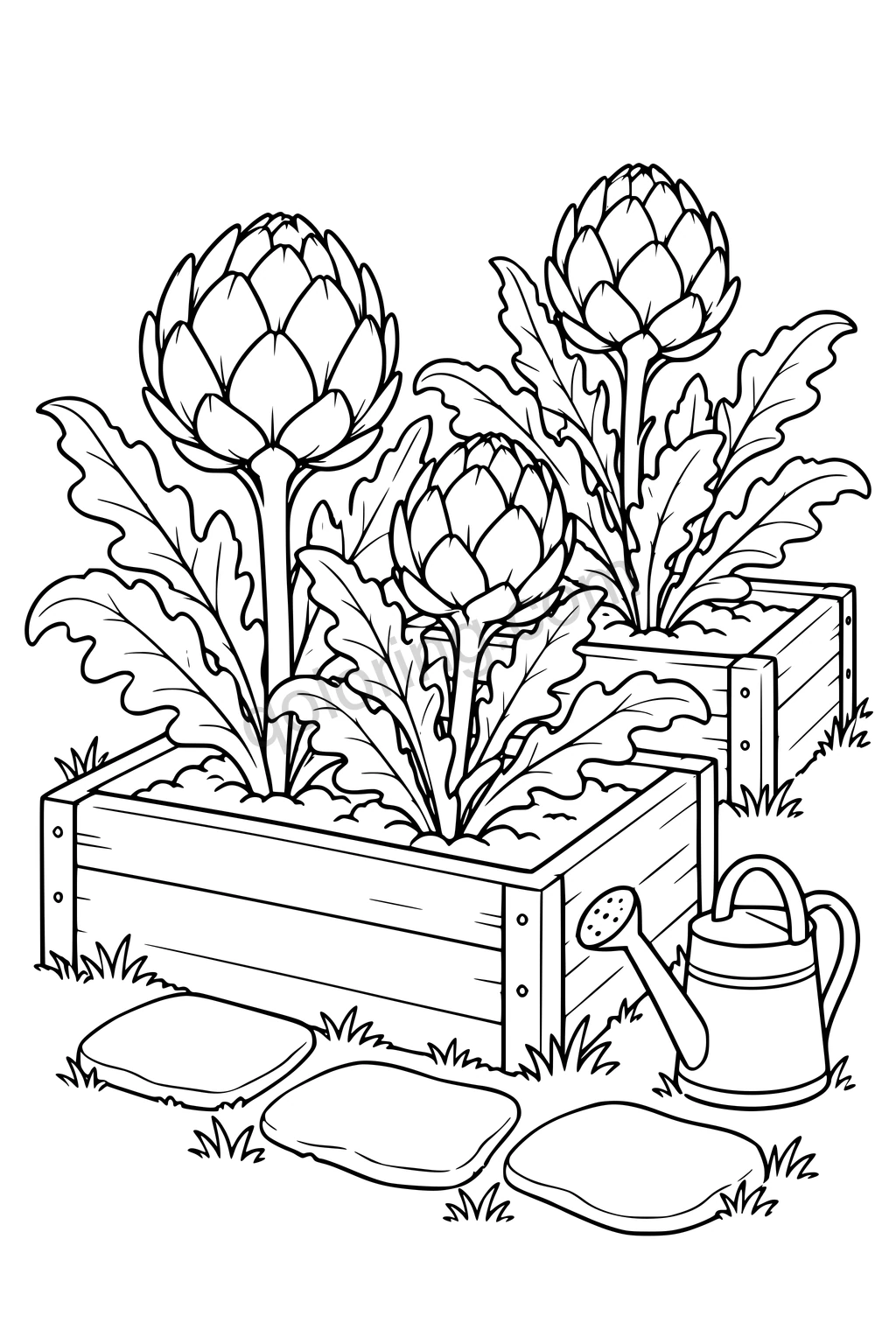 Black outline drawing of artichokes in raised garden beds beside a watering can.