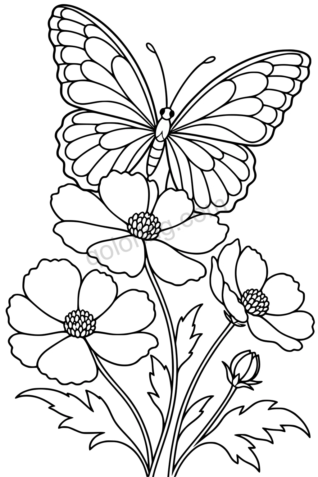 Black outline drawing of a butterfly with four spread wings above three garden flowers, a bud, and leafy stems.